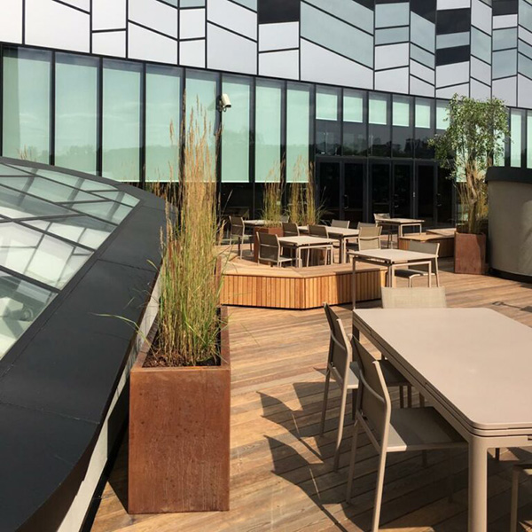 Skolkovo (Сколково)