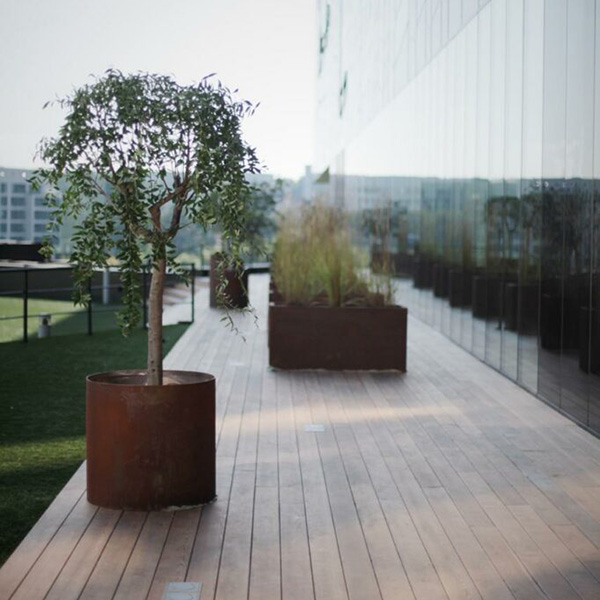 Skolkovo (Сколково)